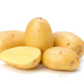 Großhandelspreis Factory Outlet getrocknetes Kartoffelpulver mit hoher Qualität